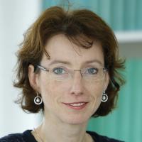 Portrait von Indra Spiecker genannt Döhmann